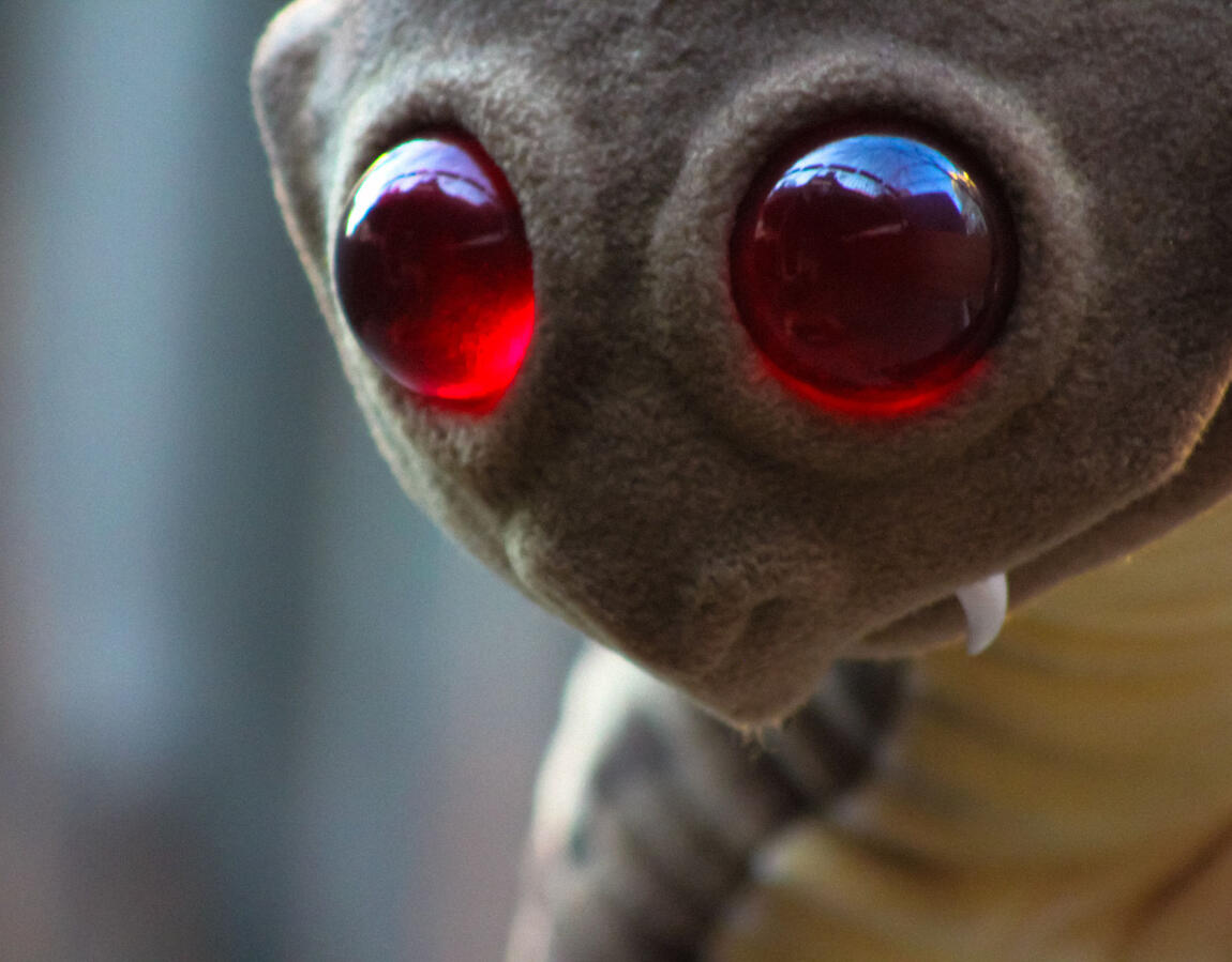 Custom puppet with glowing acrylic eyes